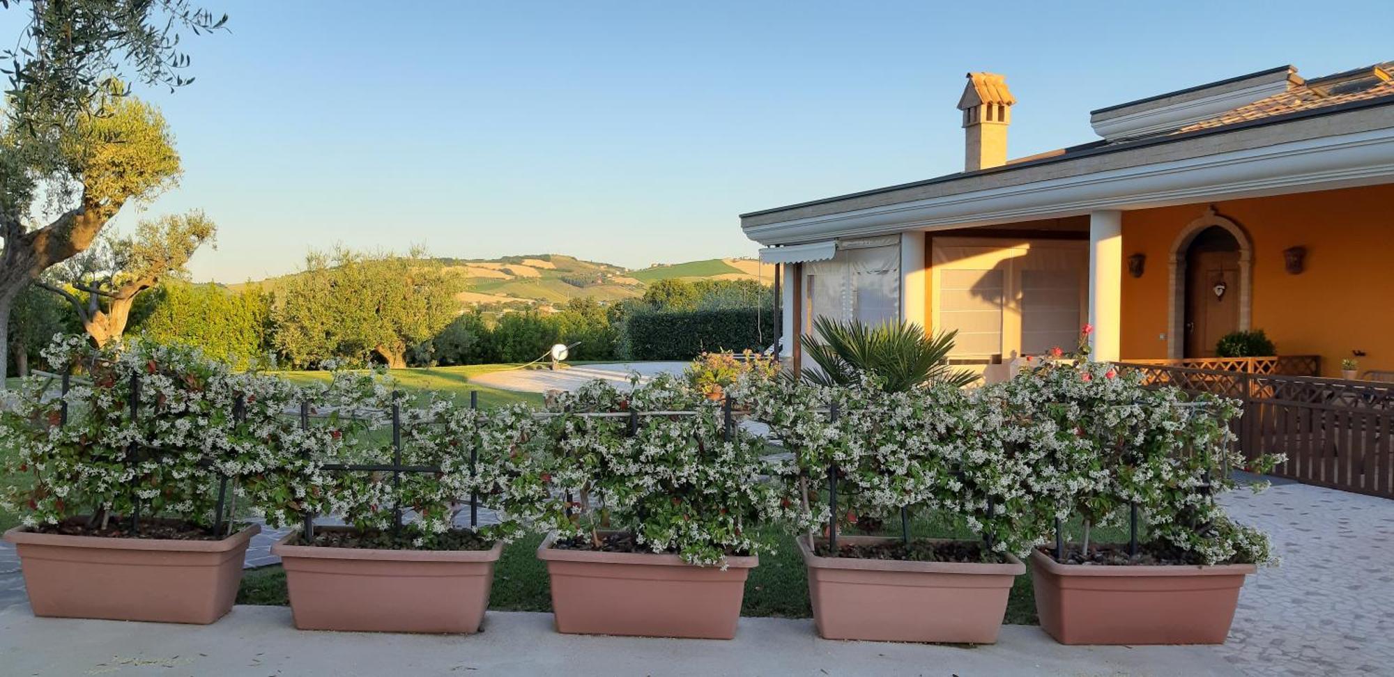 B&B Agrifoglio SantʼElpidio a Mare Eksteriør billede